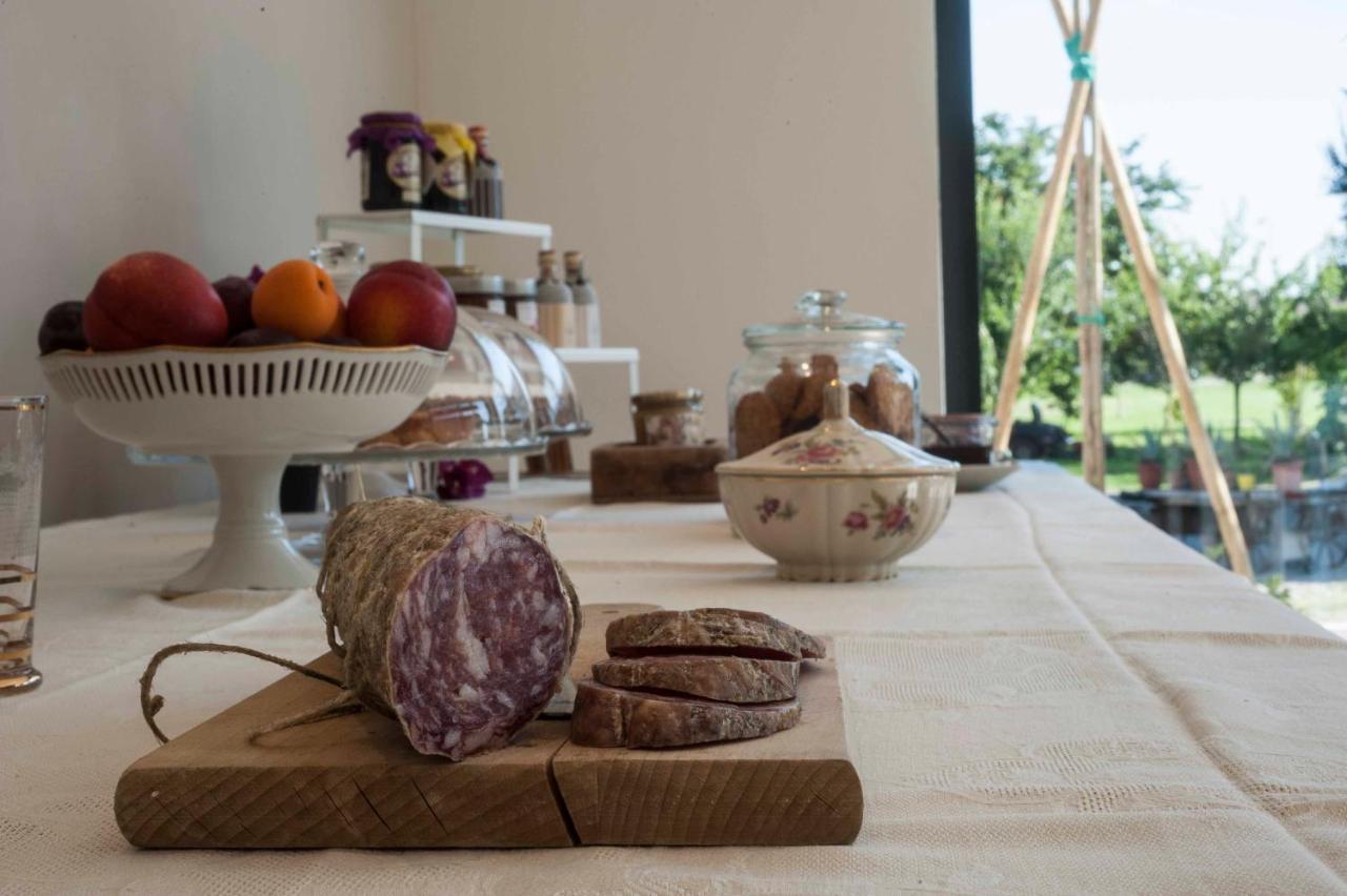 Le Ferrerie Agriturismo Fattoria Marchesini Praticello di Gattatico Екстериор снимка